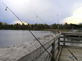 Camp 10 Fishing