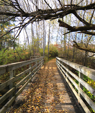 Footbridge01